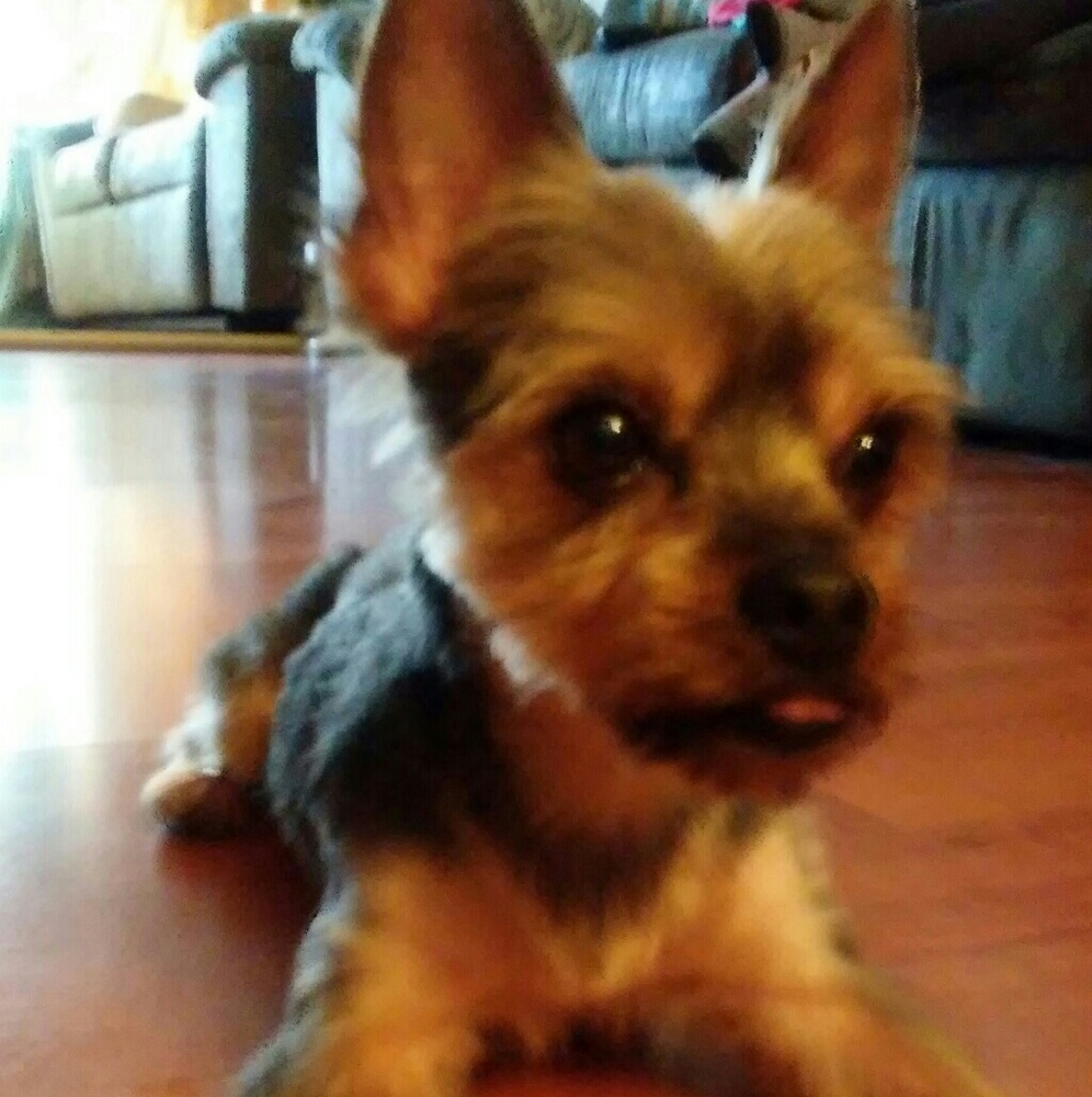 Meet your Posher, Deana